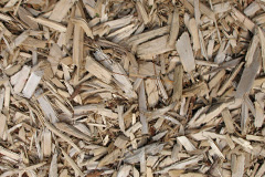 biomass boilers Parson Drove